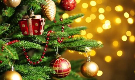 Merry Christmas Day
