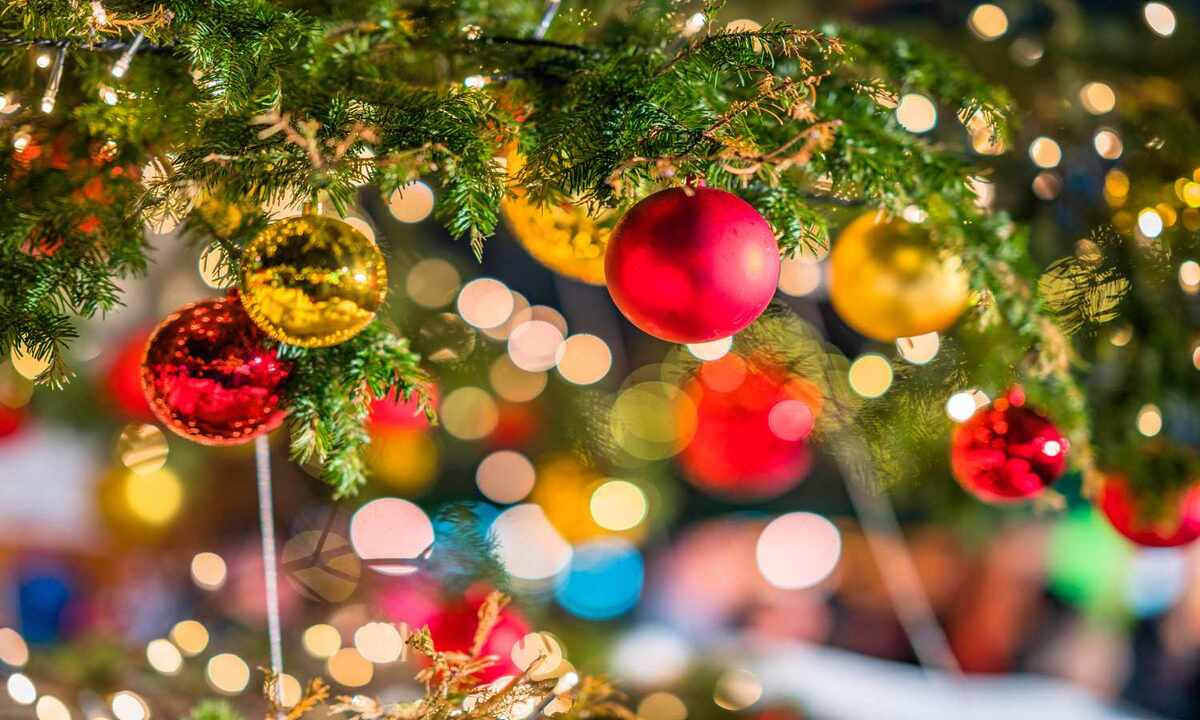 Christmas Day Tree Lights